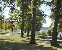 Walkway within park